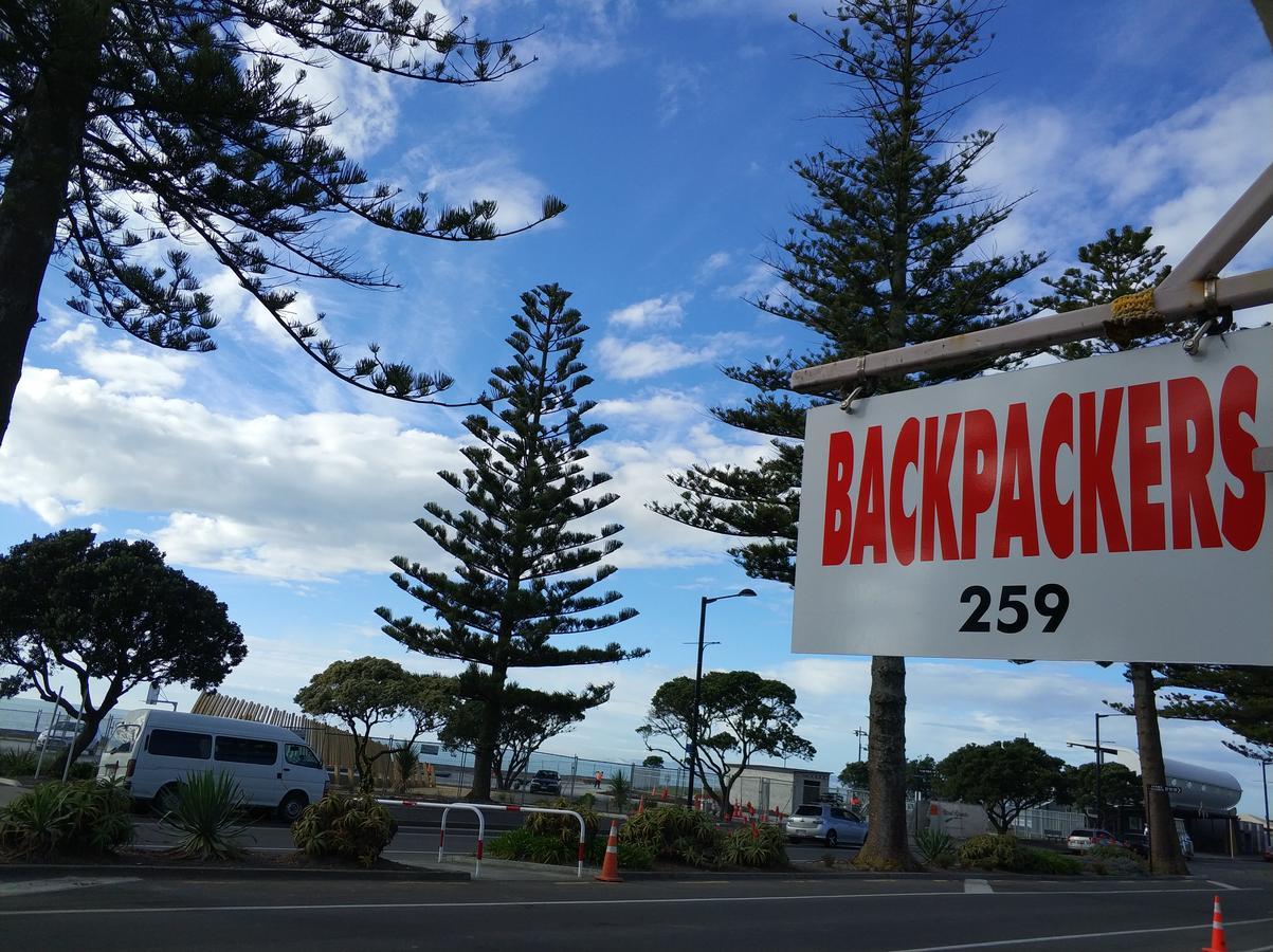 Napier Art House Backpackers Hostel ภายนอก รูปภาพ